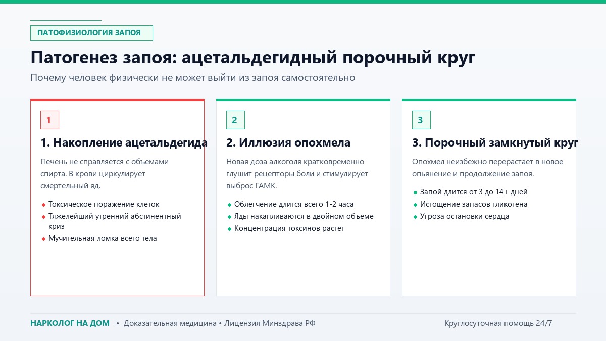 Патогенез запоя: ацетальдегидный порочный круг